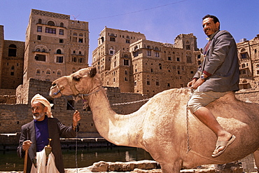 Men with camel, Hababa, Republic of Yemen, Middle East