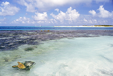 Espenqui, Los Roques, Venezuela, South America