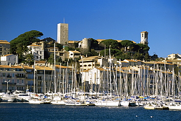 Old city and tourist harbour, Cannes, Alpes-Maritimes, Provence, Cote d'Azur, French Riviera, France, Mediterranean, Europe