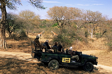 Mala Mala Game Reserve, Sabi Sand Park, South Africa, Africa