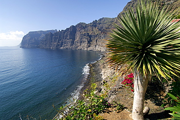 Los Gigantes cliffs, Tenerife, Canary Islands, Spain