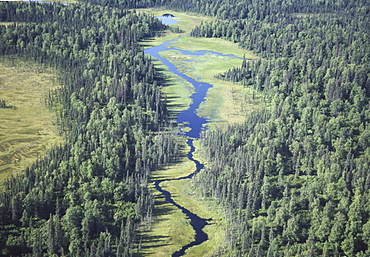 Aerial of river, Denali National Park, Alaska, United States of America, North America