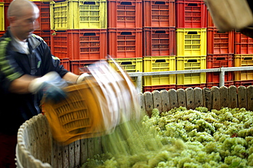 Grape press, Bellavista winery, Erbusco, Franciacorta, Lombardy, Italy.