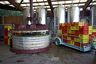 Grape press, Bellavista winery, Erbusco, Franciacorta, Lombardy, Italy.