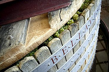 Grape press, Bellavista winery, Erbusco, Franciacorta, Lombardy, Italy.