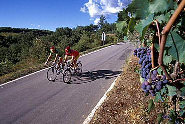 Cyclists on the road, Biking around Italy