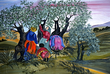 Olive picking, naive of  Barbara Mencarelli, Mandoleto, Solomeo, Umbria, Italy