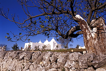 Trullo, Martina Franca, Val d'Itria, Puglia, Italy