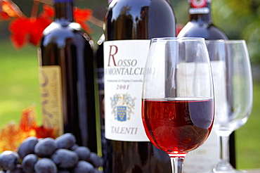 Wine Rosso di Montalcino, Tuscany, Italy