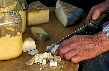 Bruss cheese, Racconigi, Piedmont, Italy