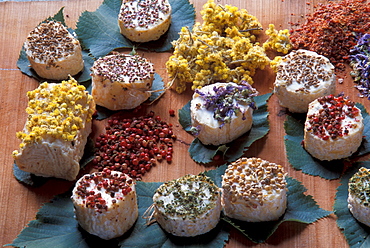 Crostini with robiola, herbs and nut, Roccaverano, Piedmont, Italy