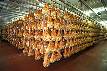 Preparation of ham, Prosciuttificio Unibon, Langhirano, Emilia Romagna, Italy