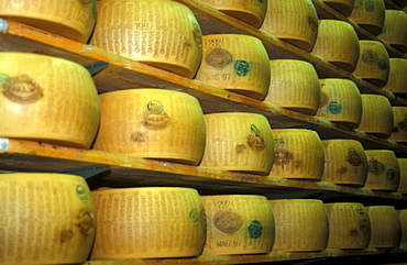 Maturing of Parmiggiano Reggiano cheese, Hombre dairy, Cittanove, Emilia Romagna, Italy