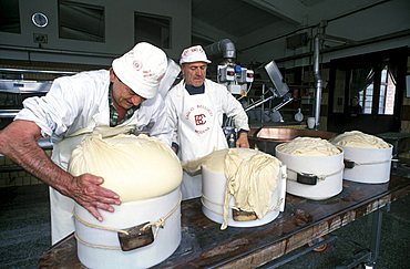 Preparation of Parmiggiano Reggiano cheese, Hombre dairy, Cittanove, Emilia Romagna, Italy