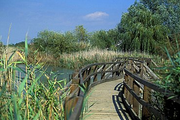 Natural reserve of the mouth of Stella river, Marano Lagunare, Friuli Venezia Giulia, Italy 