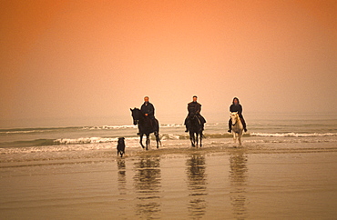 Riding on horseback, Silos riding school, Lignano Sabbiadoro, Friuli Venezia Giulia, Italy