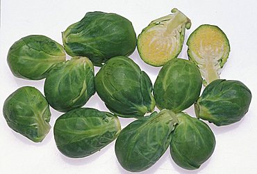 Brassica Oleracea, North Italy, Italy