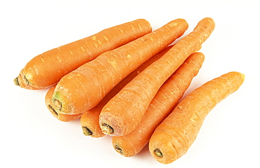 Daucus Carota, Carrots, Italy