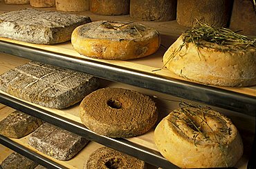 Tome a ciambella, Guffanti cheese dealer, Arona, Piedmont, Italy.