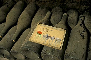 Old bottles, Mascarello cellar, Barolo, Piedmont, Italy.