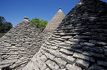 Reef of trulli, Alberobello, Puglia, Italy