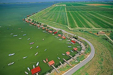 Aerial view of delta of the Po near Scardovari bay, Porto Tolle, Veneto, Italy 
