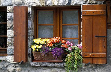 Flower pots with petunias, pelargonium and bacopa