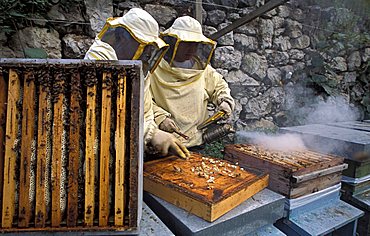 Girardelli beekeeping, Mori, Trentino Alto Adige, Italy