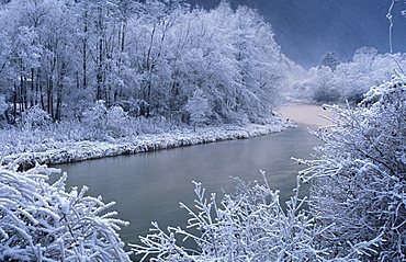 Alpine river with snow, Valsugana, Trentino Alto Adige, Italy