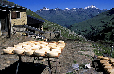 Malga dell'Alpe, Strada del Gavia, Stelvio National Park, Alto Adige, Italy