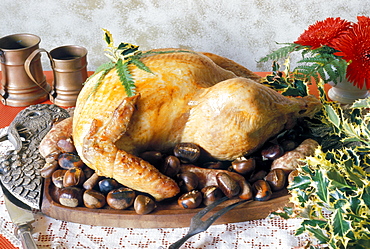 Gobbler with chestnuts, Italy