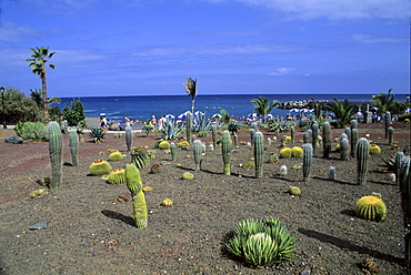 Parque Maritimo Municipal, Tenerife, Canary Islands, Spain, Atlantic, Europe