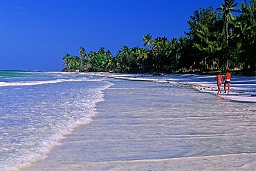Beach, Zanzibar, Tanzania, East Africa, Africa 