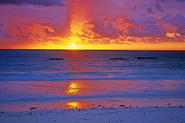 Dawn on the beach, Zanzibar, Tanzania, East Africa, Africa 