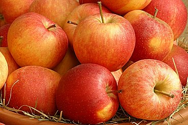 Apples "Red Gala", Italy