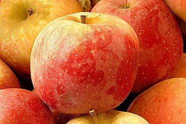 Apples "Florina", Italy