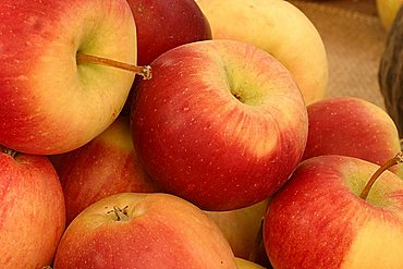 Apples "Priscilla", Italy