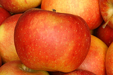 Apples "Dalinbel", Italy