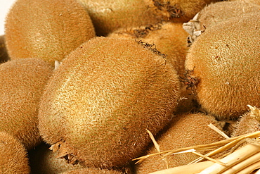 Actinidia sinensis "Hayward", Italy