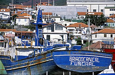 Canical, Madeira Island, Portugal, Europe