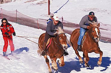 Skikjoring, Alta Badia, Trentino Alto Adige, Italy