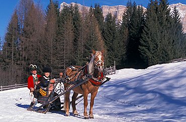 Antique sleigh, Alta Badia, Trentino Alto Adige, Italy