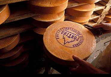 Fontina cheese, Gressoney, Valle d'Aosta, Italy