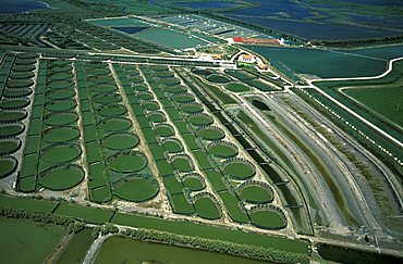 Aerial view of delta of the Po near Porto Tolle, Veneto, Italy