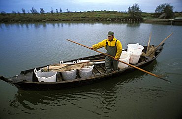 Fisherman, Comacchio, Emilia-Romagna, Italy