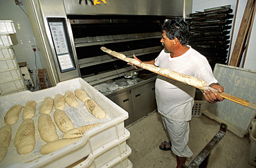 Incaviglia bakery, Marettimo island, Egadi islands, Sicily, Italy