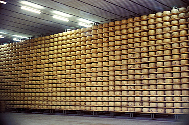 Grana Padano preparation, Italy