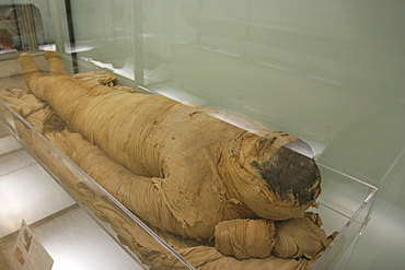 Egyptian museum, Turin, Piedmont, Italy