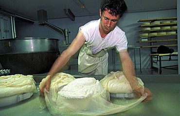 Making Casera cheese, Rini farm holidays, Bormio, Lombardy, Italy