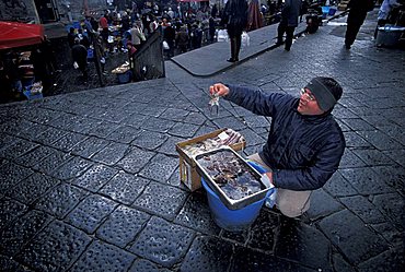 Pescheria fish market, Catania, Sicily, Italy